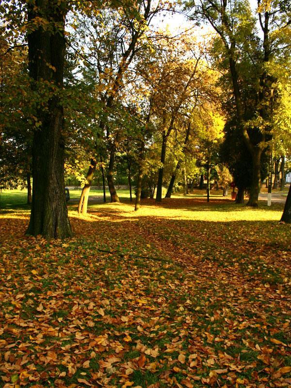 Palac W Rybnej Tarnowskie Góry Exterior foto